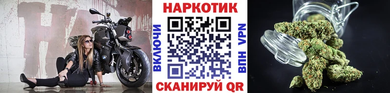 Где найти наркотики Губкин Псилоцибиновые грибы  Гашиш  гидра как войти  АМФ  Конопля 