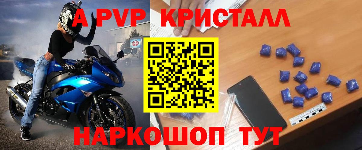 Alfa_PVP СК КРИС Губкин