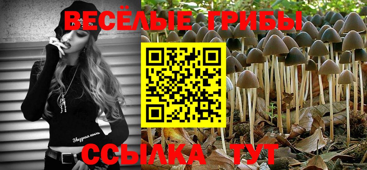 Псилоцибиновые грибы ЛСД Губкин